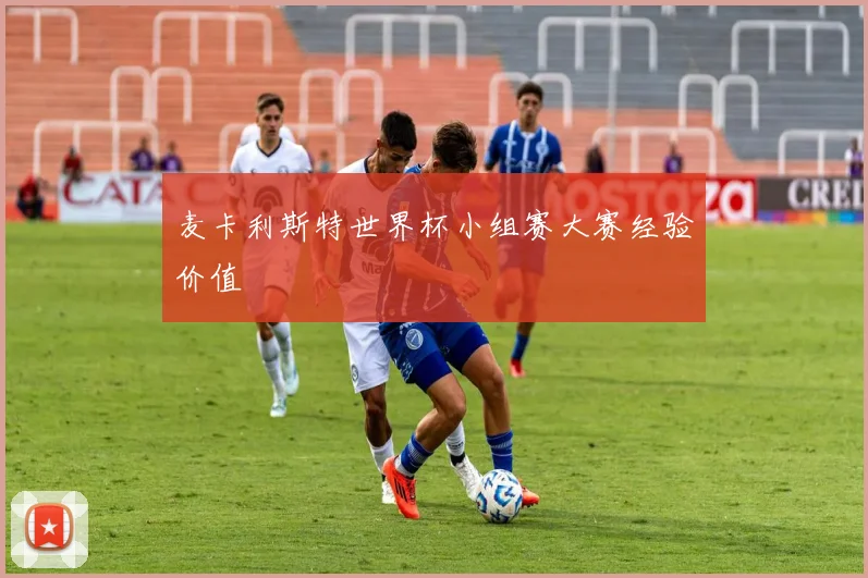 麦卡利斯特世界杯小组赛大赛经验价值
