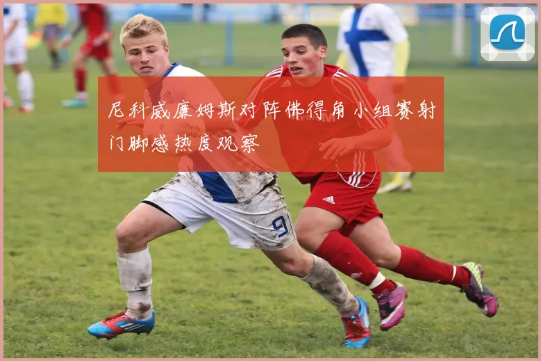 尼科威廉姆斯对阵佛得角小组赛射门脚感热度观察