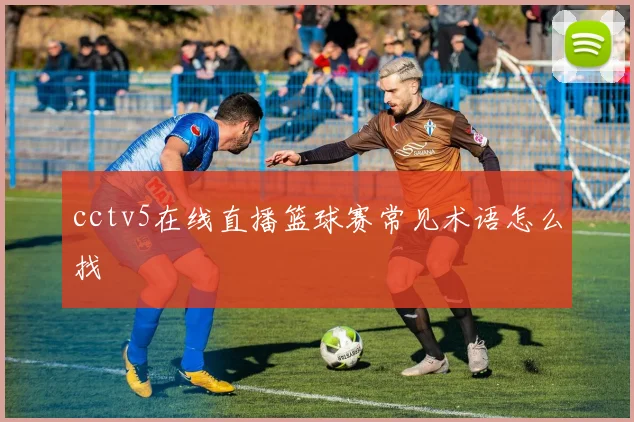 cctv5在线直播篮球赛常见术语怎么找