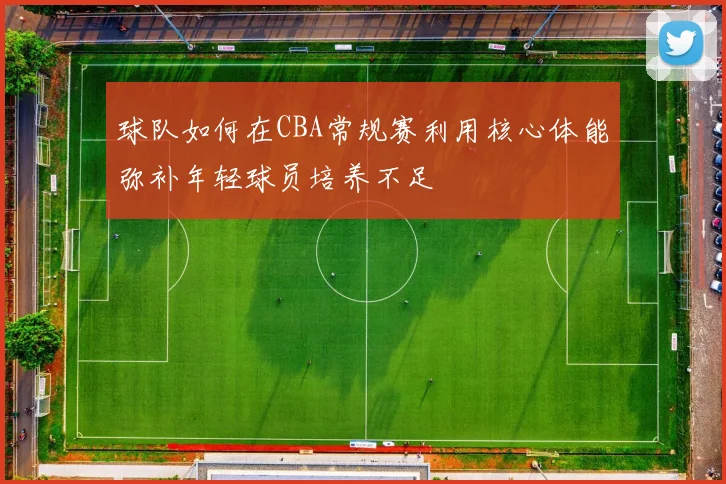 球队如何在CBA常规赛利用核心体能弥补年轻球员培养不足